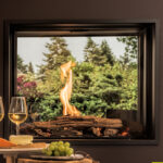 wanders douglas gas fire