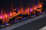 prot i89 06 wm detail 5